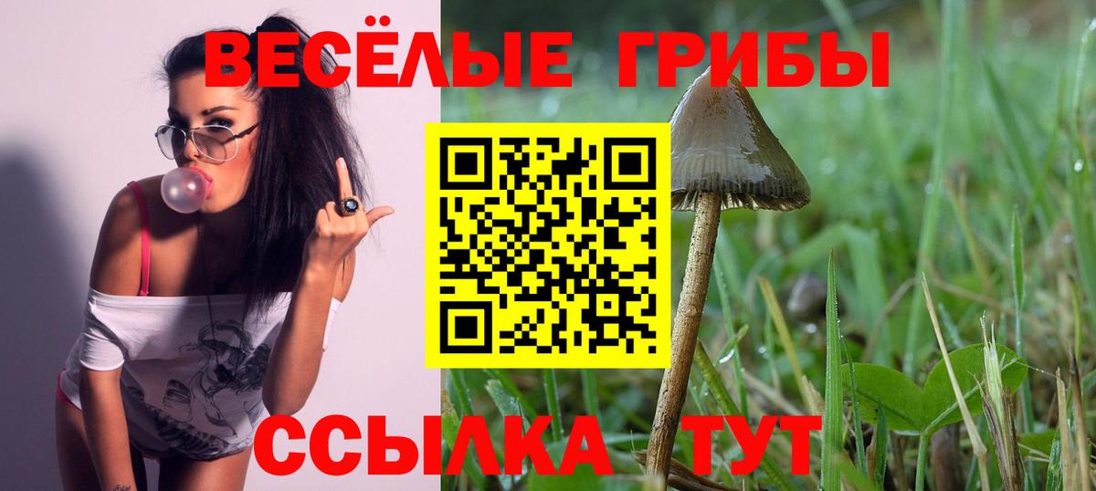 Галлюциногенные грибы Magic Shrooms Киселёвск